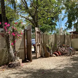 Hotel Selva - Free Bike